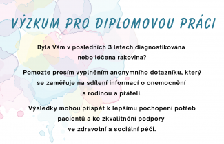 Výzkum k diplomové práci