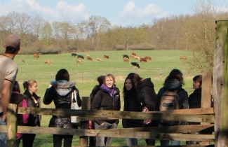 Výjezd do terapeutických komunit